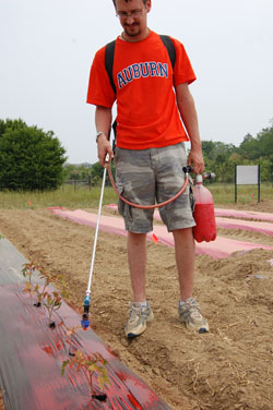 Graduate Student picture