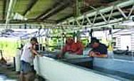 Aquaculture Initiative Team