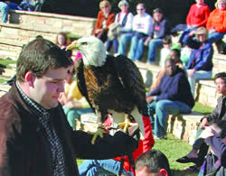 Ross Spafford carrying Spirit, the Bald Eagle