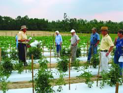 Brewton Agricultural Research Unit (BARU)