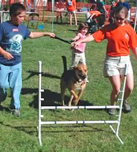 CVM Open House Dog Agility Course