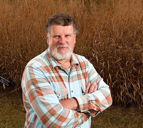 Edzard van Santen standing in a field of switchgrass.