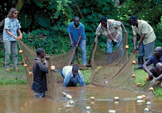 Karen Veverica, a research associate in the Department of Fisheries and Allied Aquacultures and now interim director of the E.W. Shell Fisheries Center in Auburn, helps fish farmers in Uganda learn the science of growing fish.