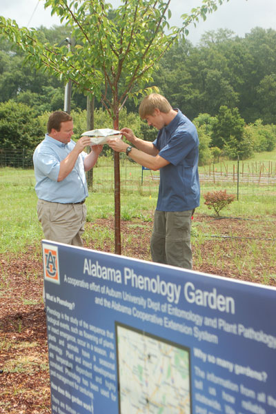 Alabama Phenology Garden