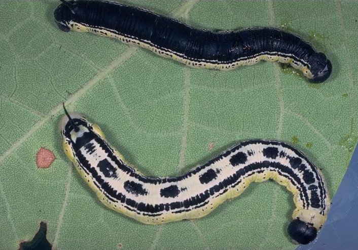 photo22.jpg