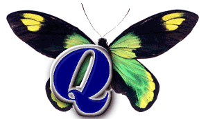 Queen Victoria's Birdwing from the Solomon Islands