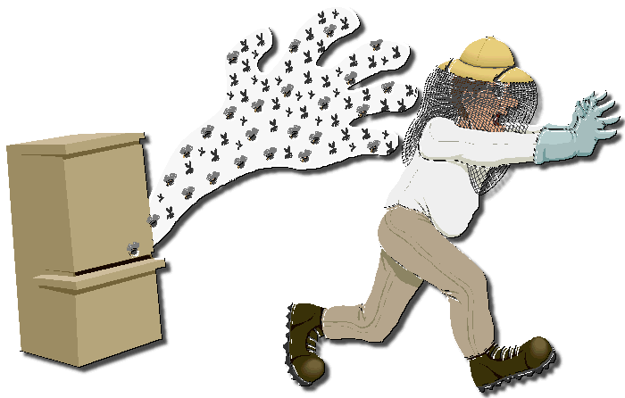 Swarm of Bees
