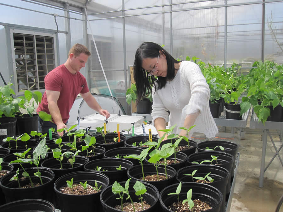 Leona and Julian in greenhouse