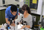 Yuan and Hao inject termites