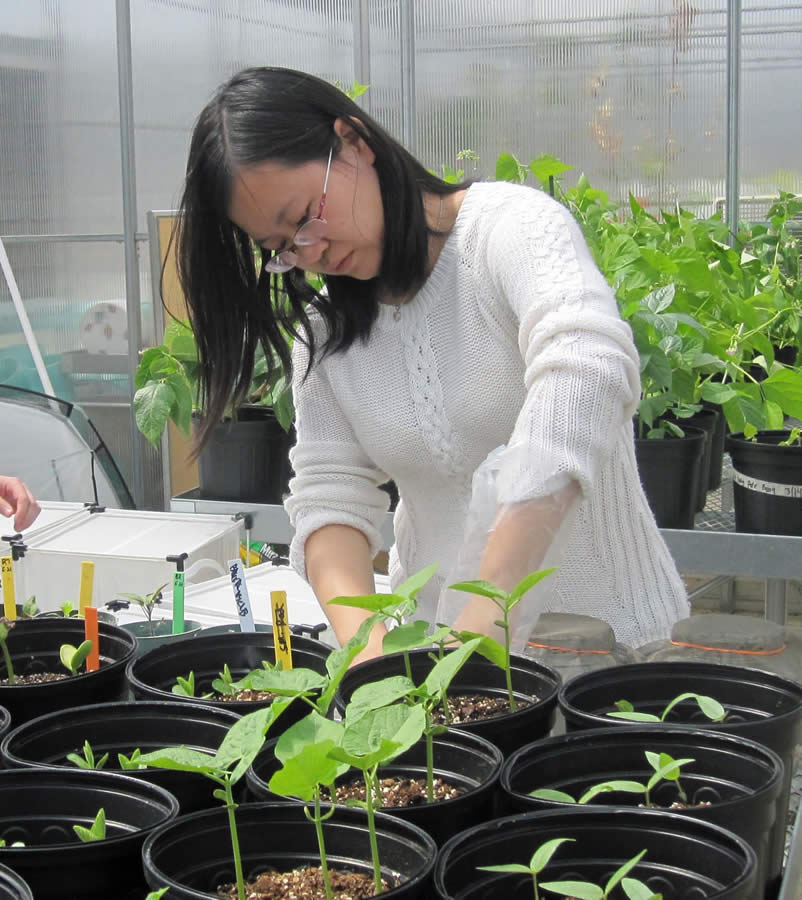 Leona working in greenhouse