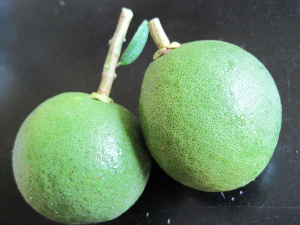 green grapefruits