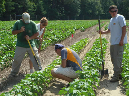 Field Crew