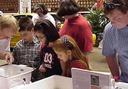 Alabama National Fair Display