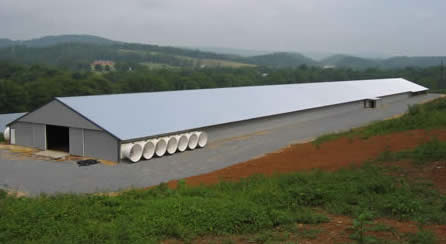 Poultry House with vents